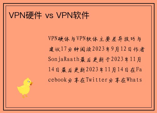 VPN硬件 vs VPN软件 